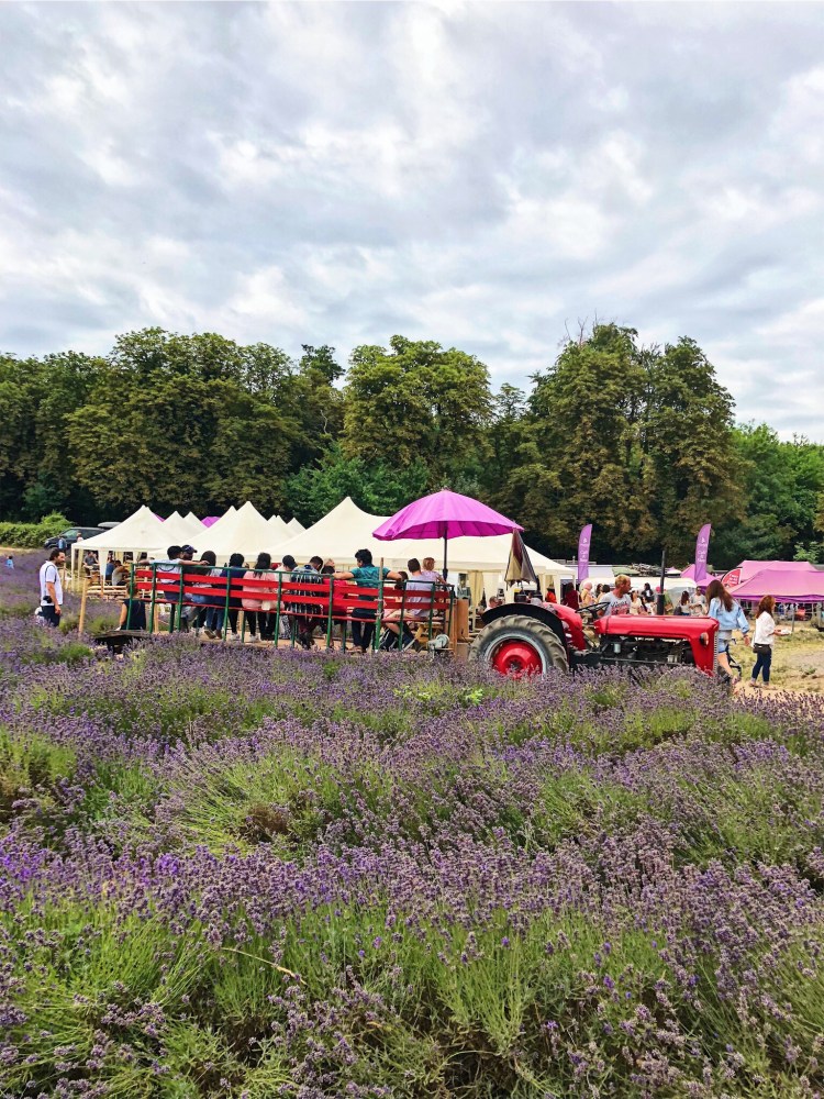 3B963AB3-B271-42A7-B89F-62AC0DE983DD